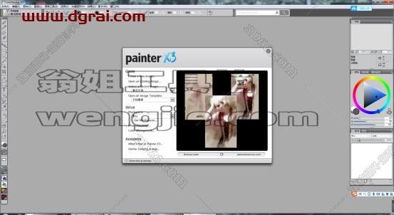 Corel Painter X3安装教程