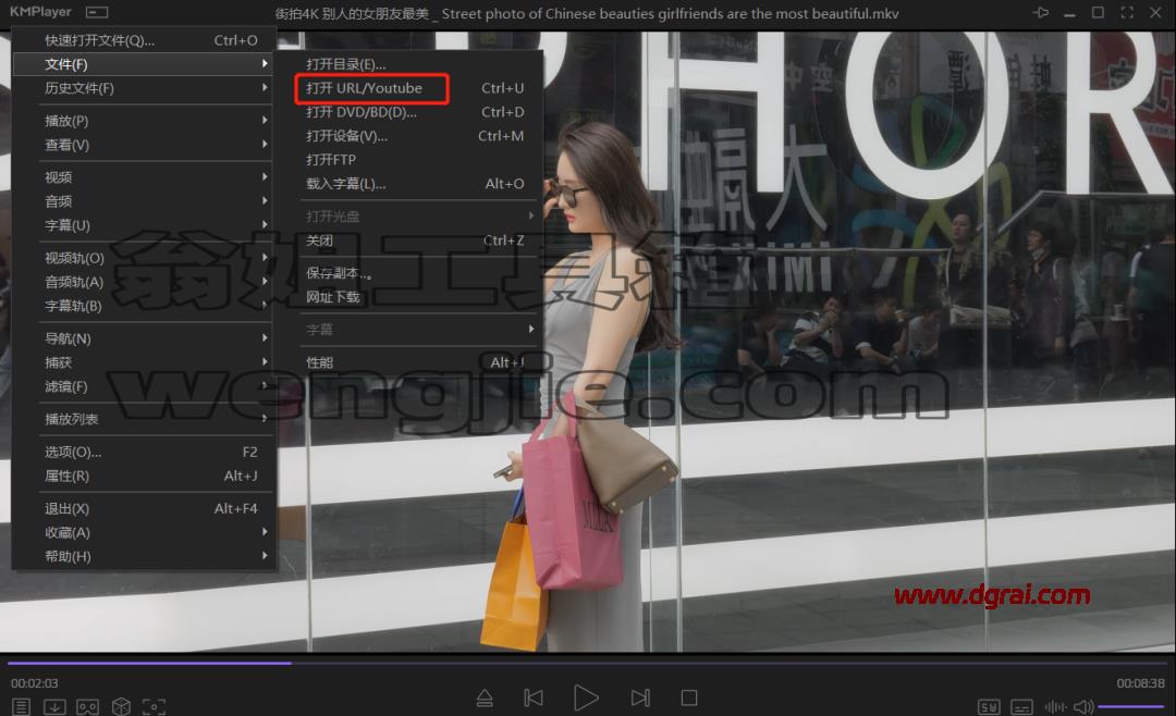 知名全能视频解码播放器KMPlayer v4.2.3.31 中文绿色版下载与安装使用教程