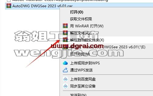AutoDWG DWGSee安装教程步骤