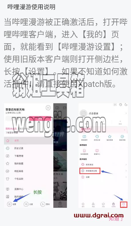 哔哩哔哩app v7.52.0,bilibili漫游版,b站去广告版