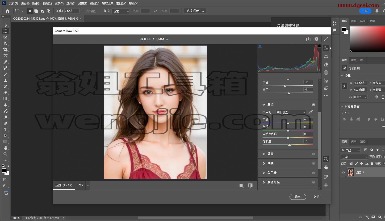 Adobe Camera Raw 17.2中文版下载与安装教程