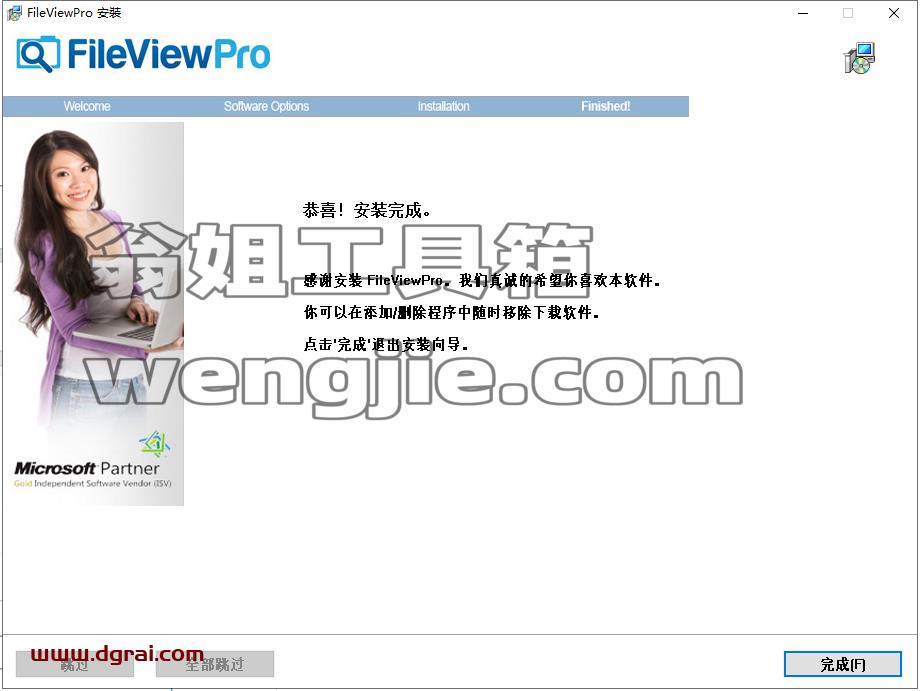 FileView Pro v1.5安装教程
