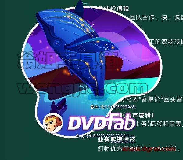 其他视频软件安装教程步骤