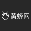 黄蜂网