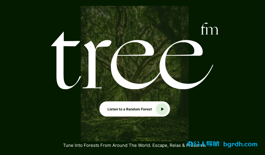 tree.fm插图 tree.fm