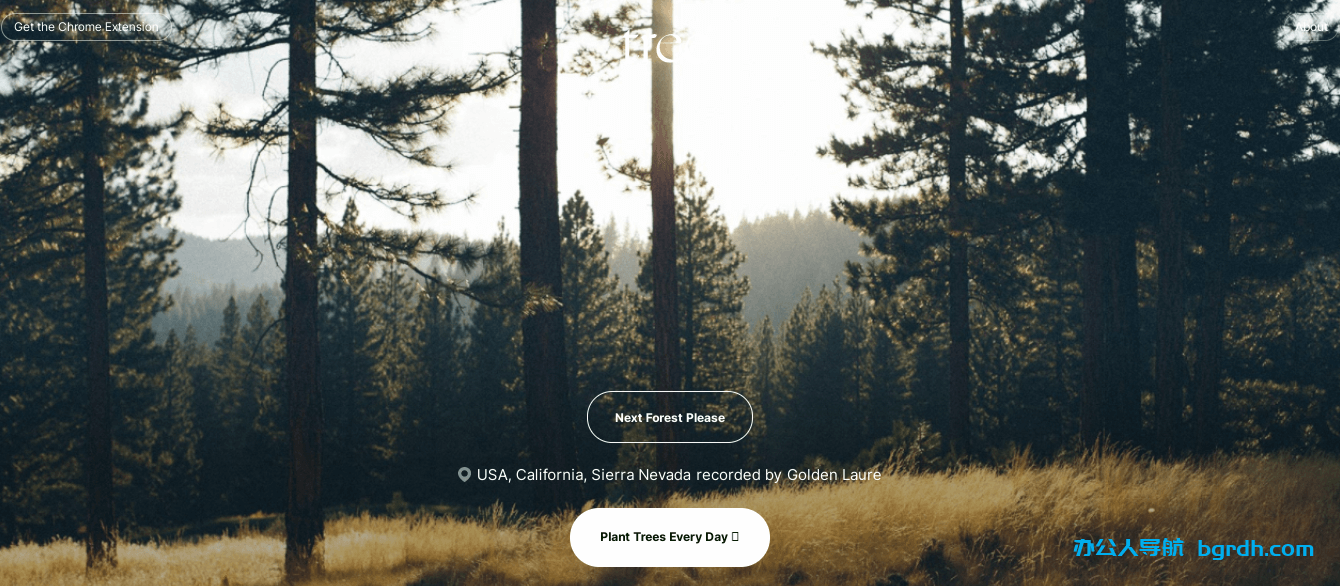 tree.fm插图1 tree.fm