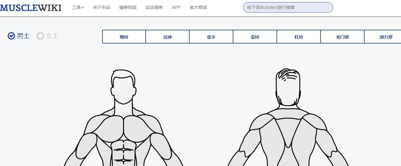 musclewiki插图1 musclewiki