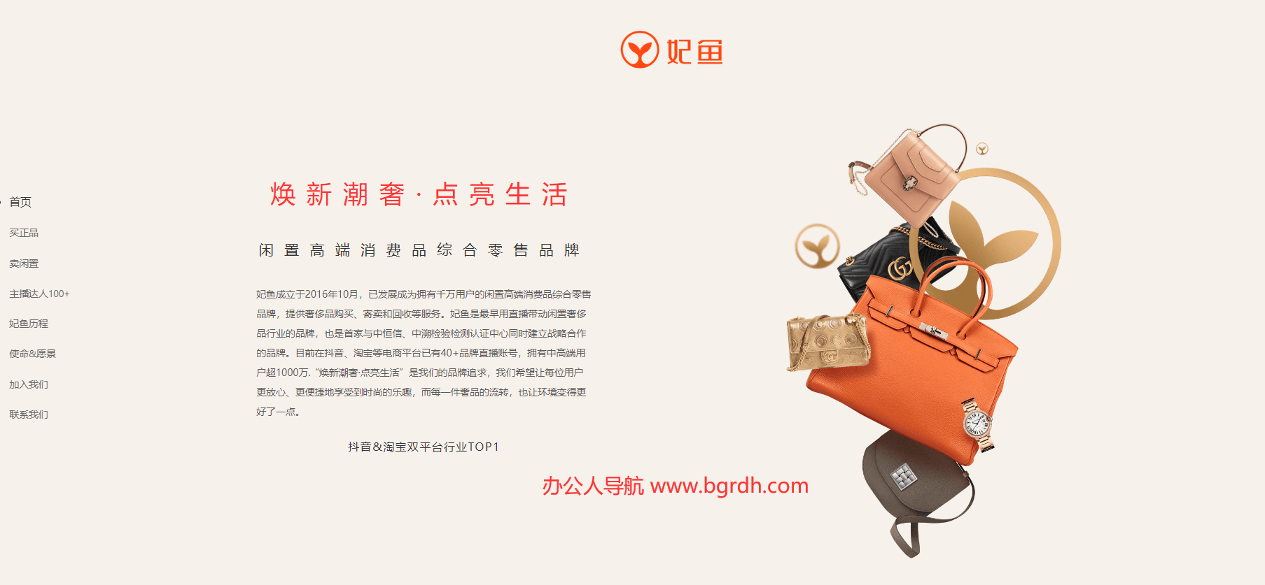 妃鱼插图 妃鱼
