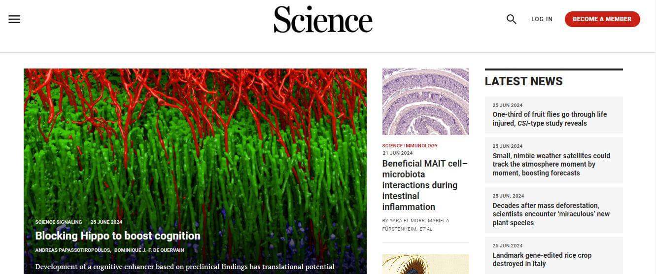 science插图 science