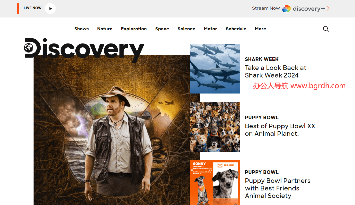 Discovery插图 Discovery