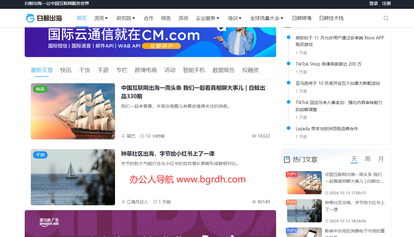 白鲸出海