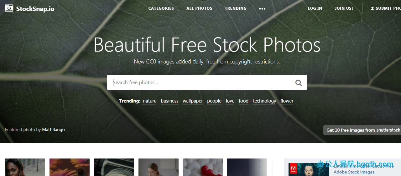 StockSnap插图 StockSnap