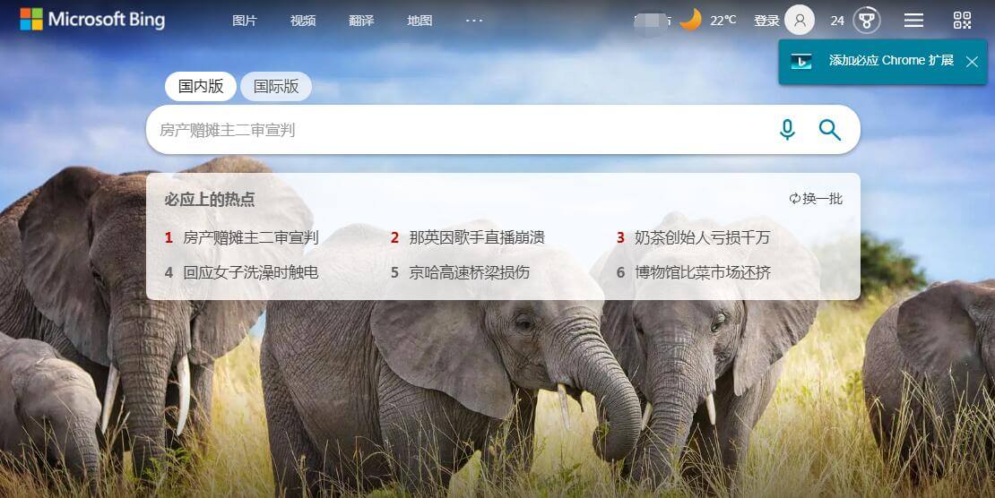 Bing插图 Bing