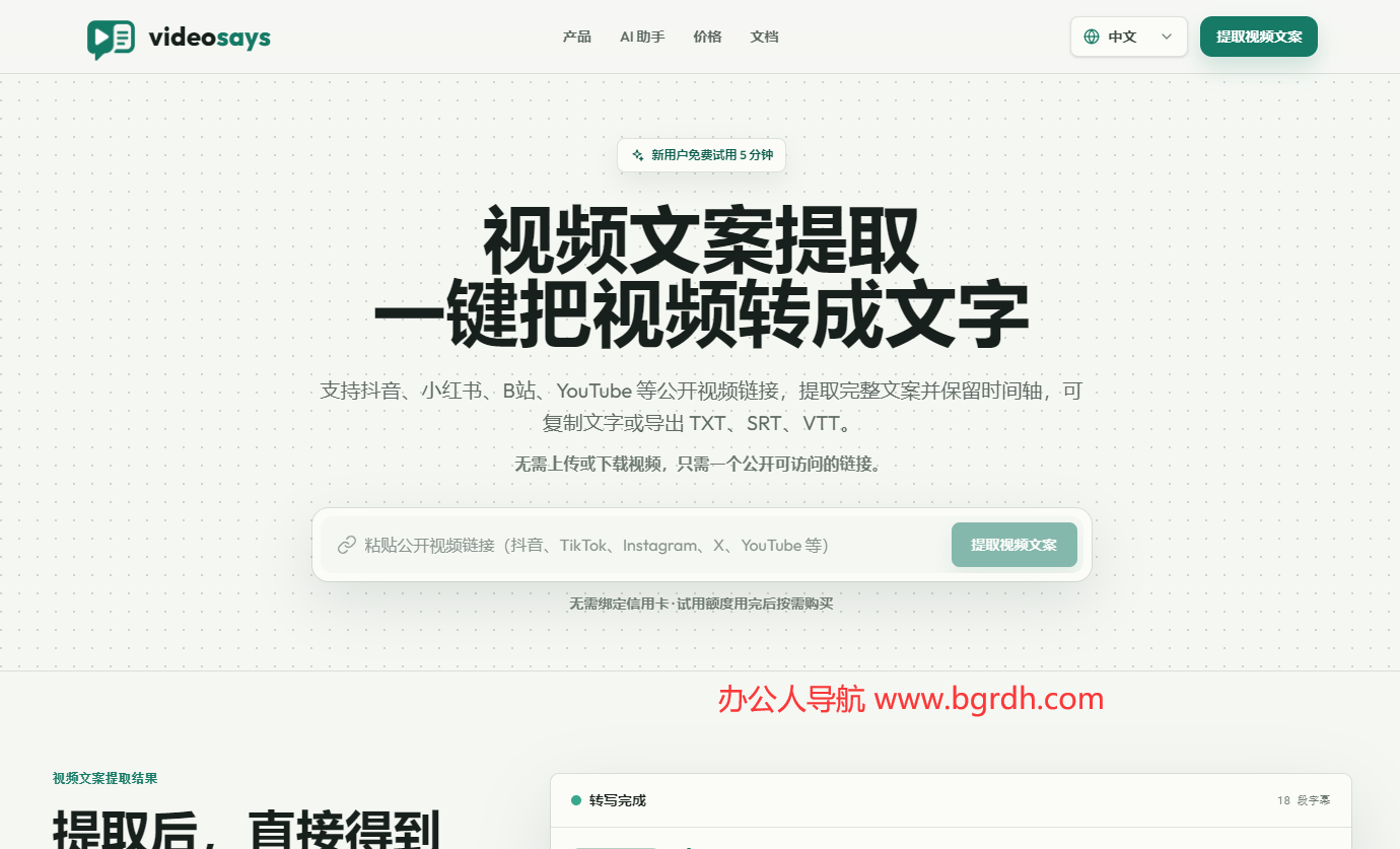 videosays插图 videosays