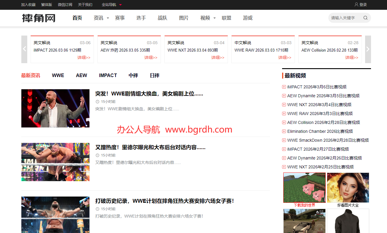 摔角网插图 摔角网