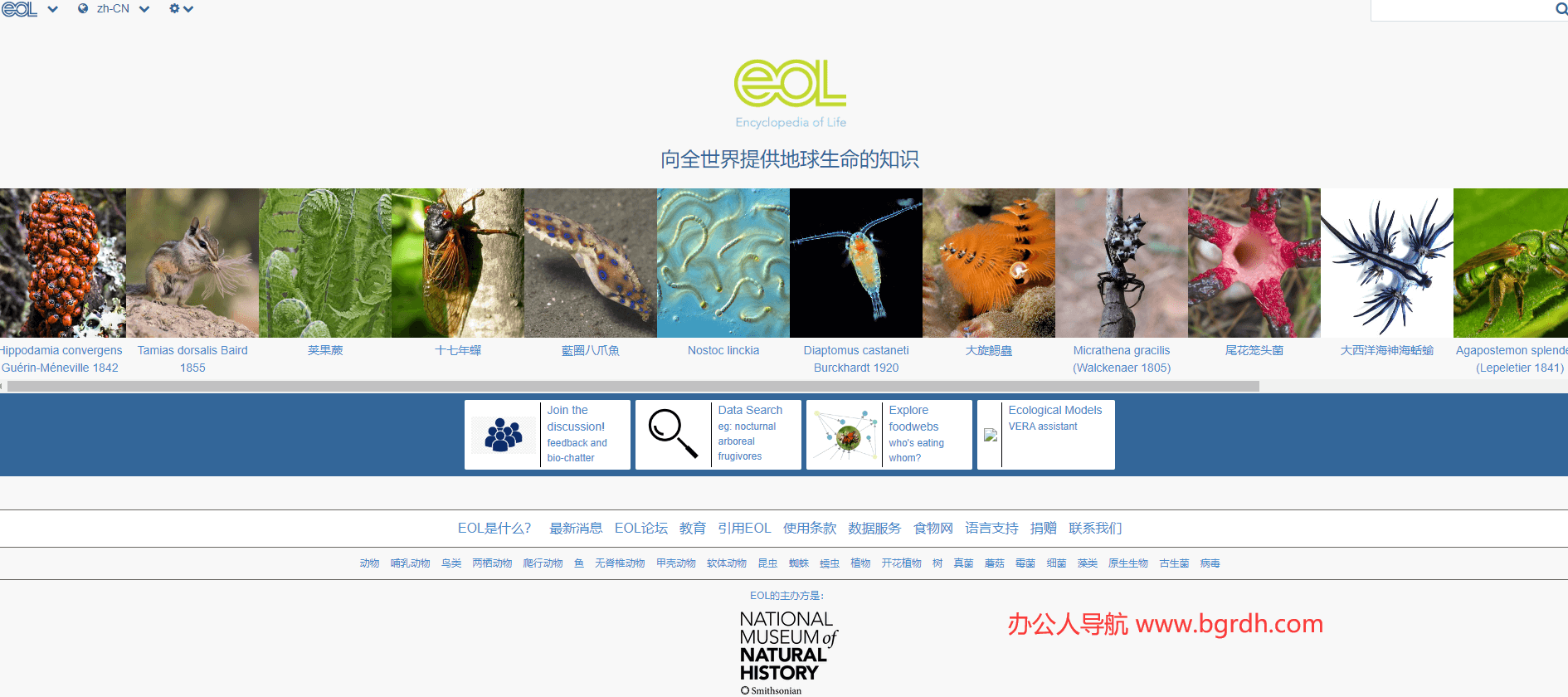 生命大百科插图 生命大百科