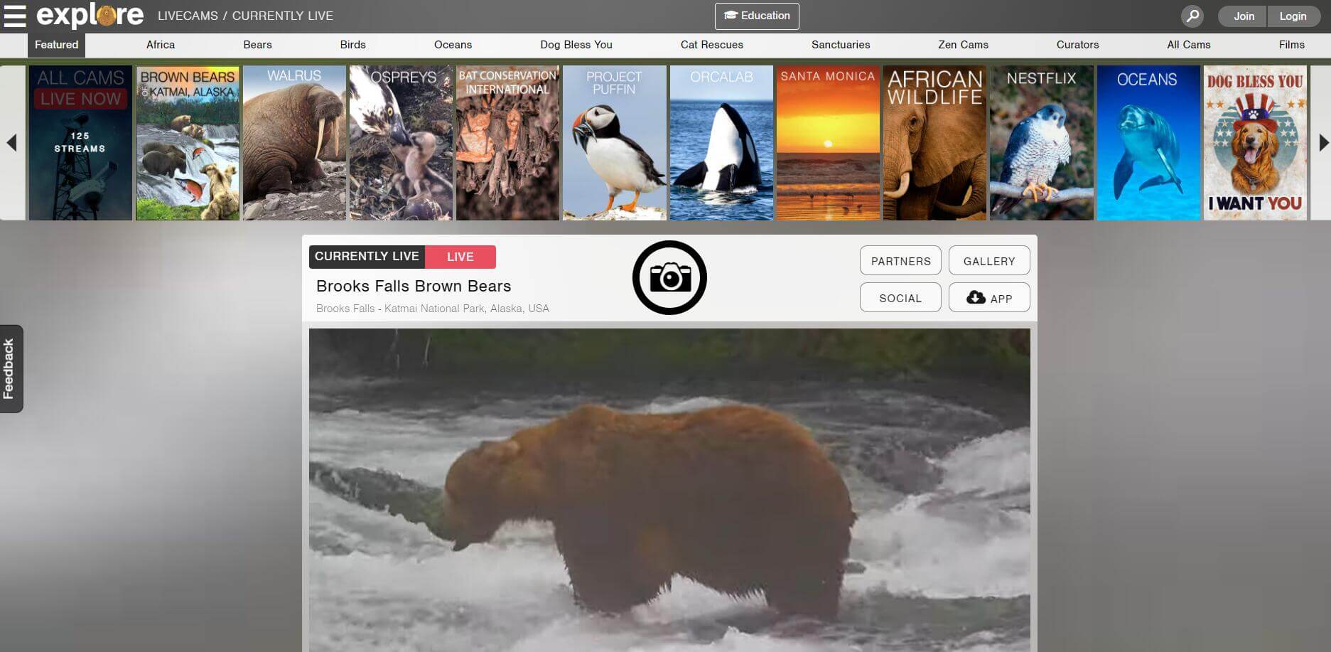 Explore.org插图 Explore.org