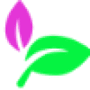 Mac萌新网