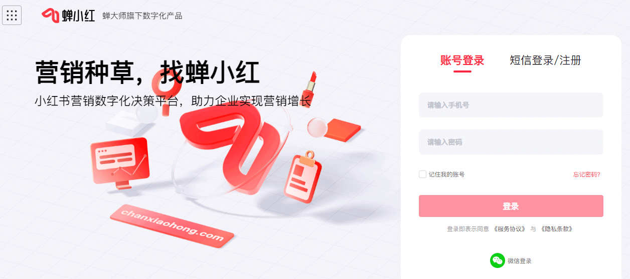蝉小红插图 蝉小红
