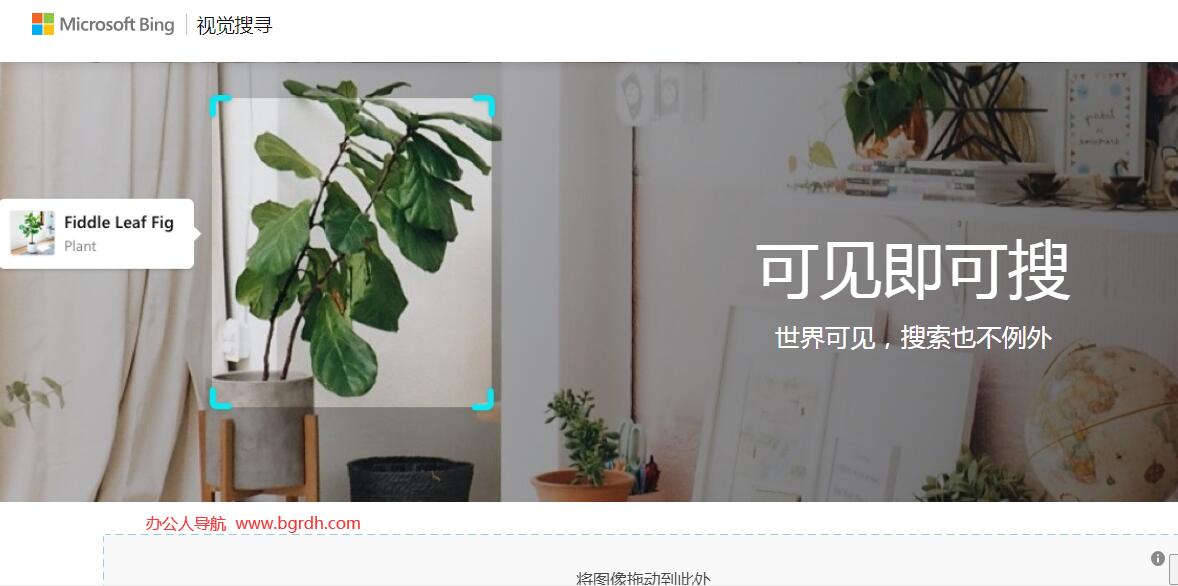 bing搜图插图 bing搜图