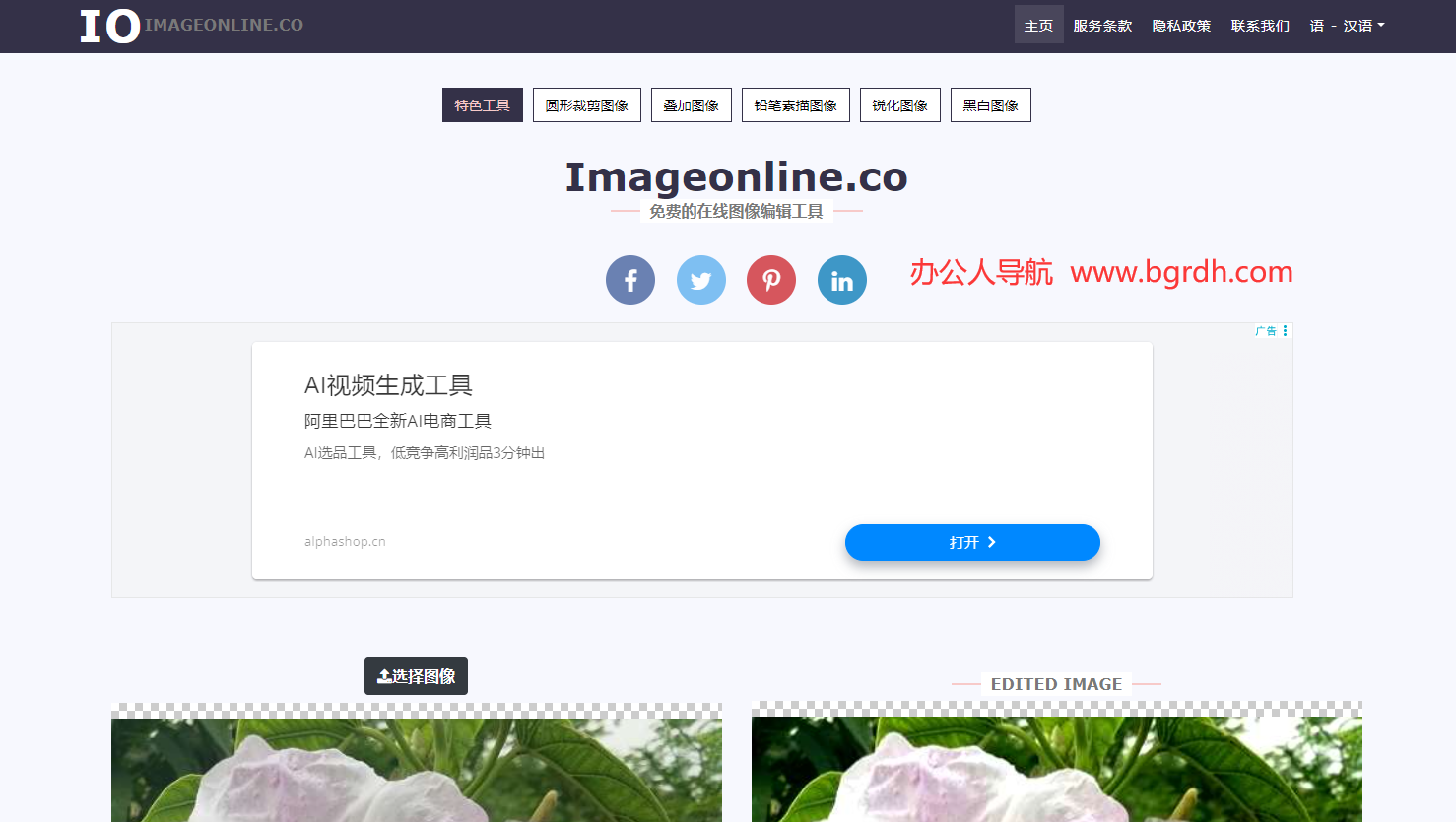 Image Online插图 Image Online