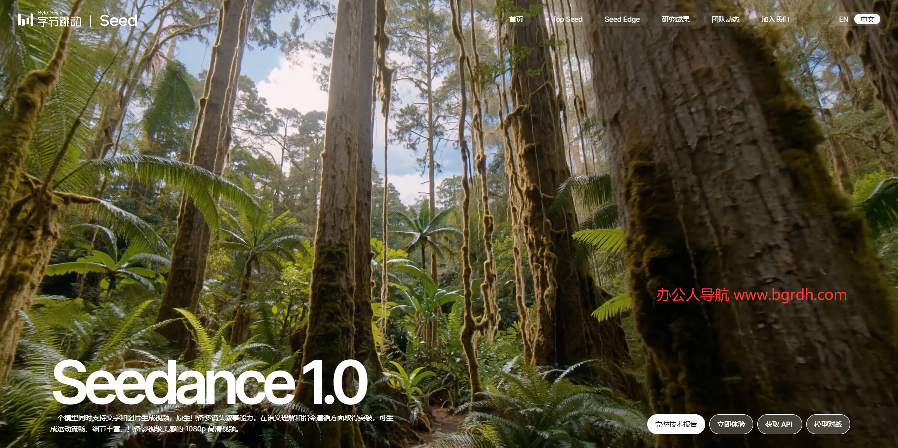Seedance插图 Seedance