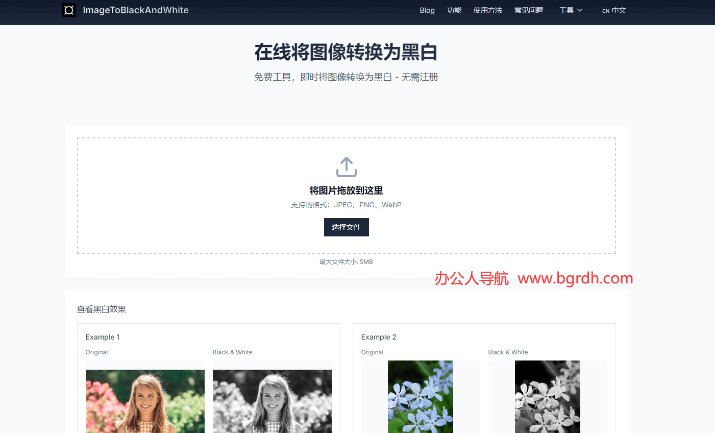 黑白图像转换插图 黑白图像转换