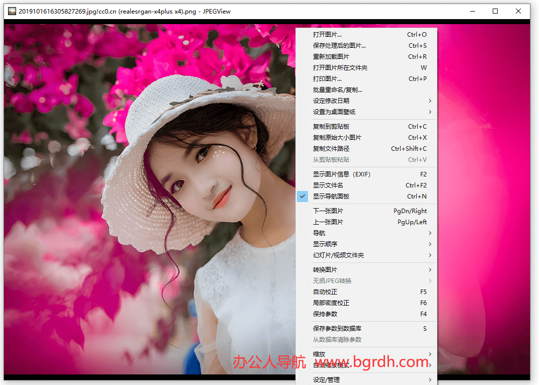 JPEGView插图 JPEGView