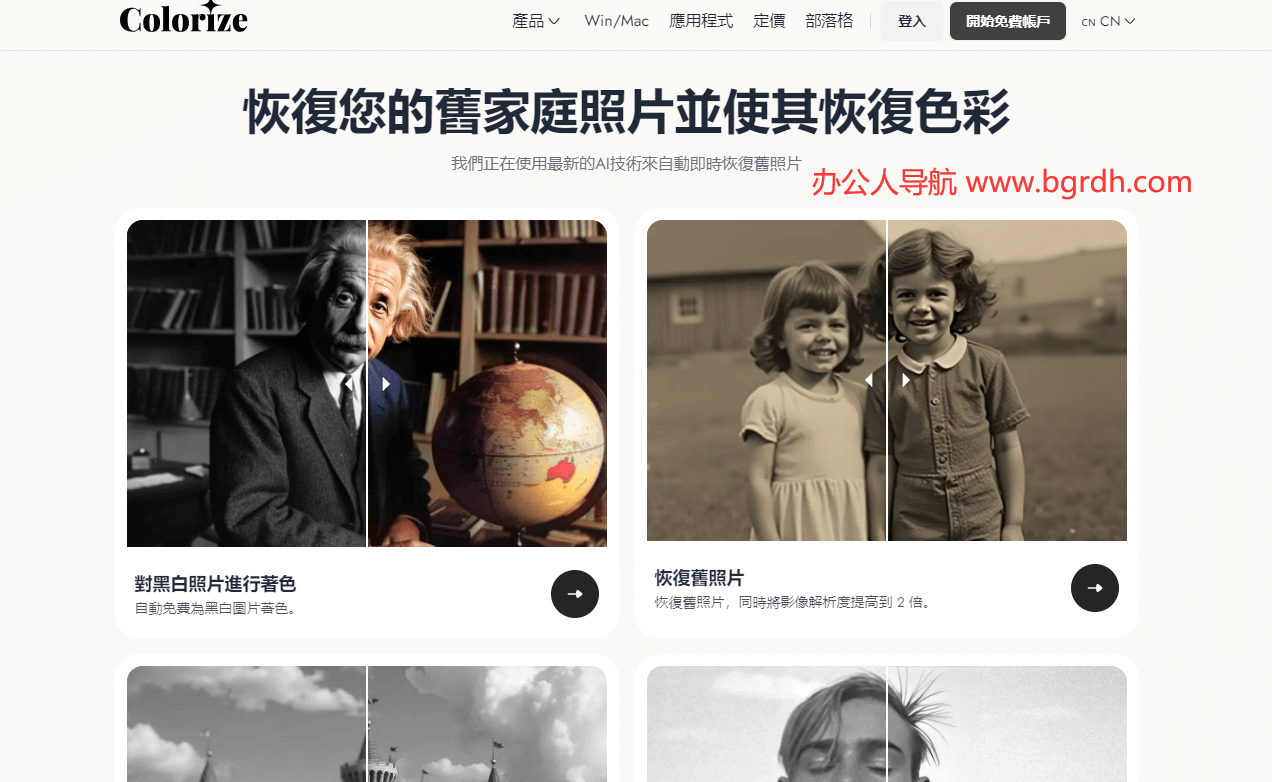 ImageColorizer插图 ImageColorizer