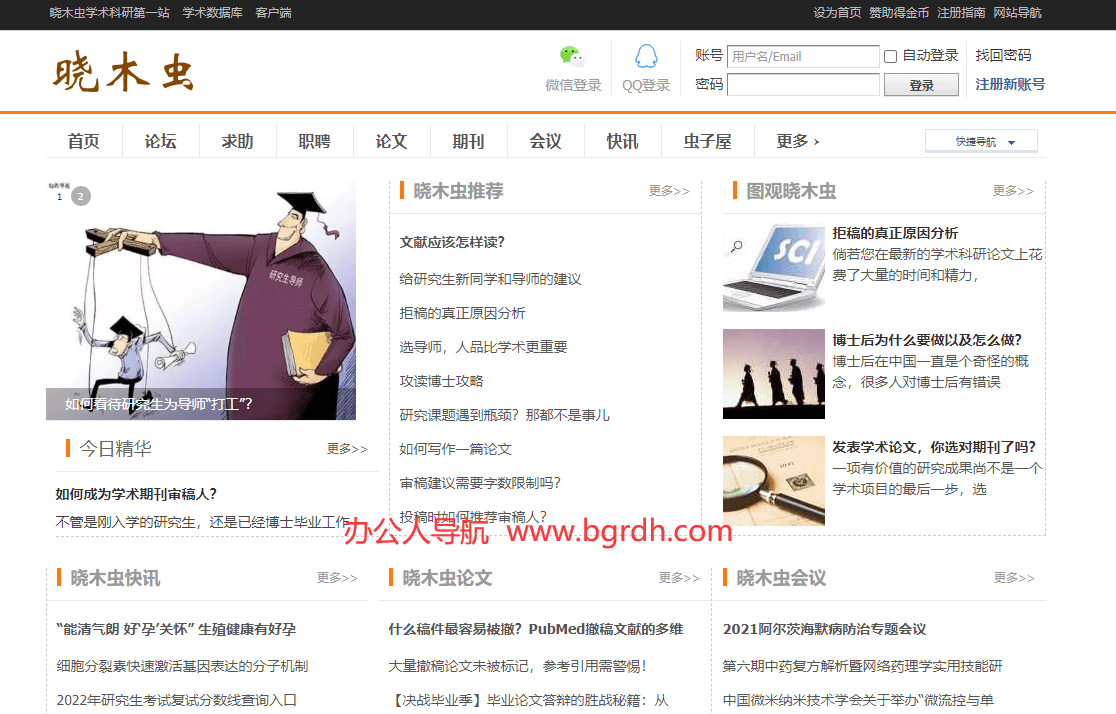 晓木虫插图 晓木虫