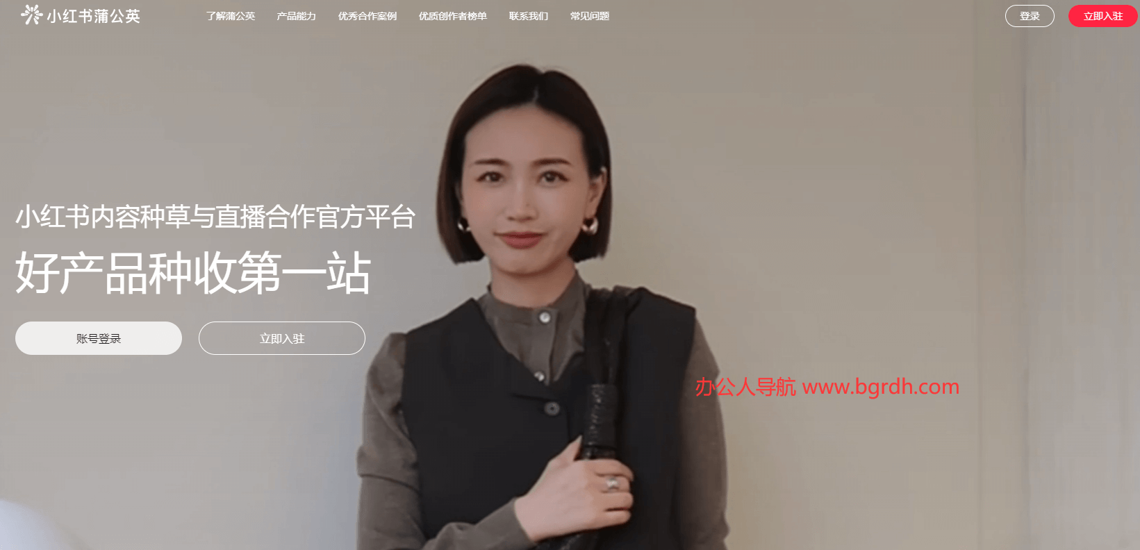 小红书蒲公英插图 小红书蒲公英