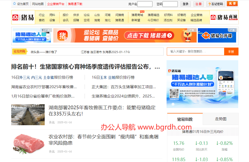 猪易网